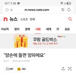 정치 식견의 척도