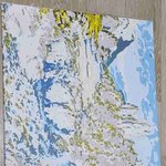 피포페인팅 16일<b>차</b>