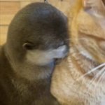 <b>귀가</b> 엄청