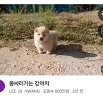 <b>내</b> 유튭 알고리즘...;;