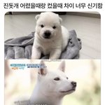 어떻게 사랑이 <b>변해</b>?