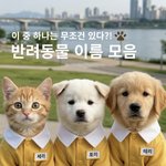 테리 나<b>와바</b>