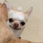 <b>돌출</b>입 파김치~^^