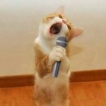 니가