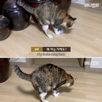 [냉부] 박지훈 <b>냉</b>부 나왔으면 좋겠다