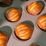 근데 <b>나만</b> 억지유행보다 억지유행무새가 더 싫음?