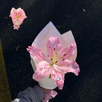 요즘은 또 꽃에 큐빅 붙이는 게 유행<b>이래</b>