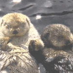 <b>세상</b>은 넓고