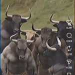 창세기 6장4절. 바포메트! 일루미나티프리메이슨이집트신비의식