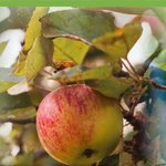 <b>자연</b>을보라 하나님이여러분들에게 지혜를 공급해줄겁니다 샬루~~~~