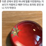 다이소 신상 개귀엽다