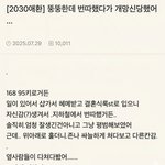 뚱뚱한데 번따했다가 <b>개망신</b> 당했어