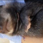 [혼자하는말] <b>모두</b>들 좋은밤되셔~