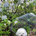 <b>오늘</b> <b>하루</b>도