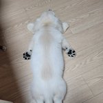 <b>아무생각</b>없이..잔다..