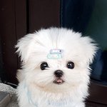 어디있었나 찾았다.