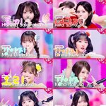 [어케생각해] <b>이</b> 사진으로만 봤을 때 닮은 동물 해봄