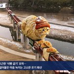 충주시 이후로 자극 제대로 받은 듯한 지자체 근황.gif