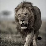 <b>여자</b>들은 이런 <b>남자</b> 좋아하나요?