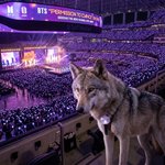 [군대] 방탄 <b>콘서트</b> 보러간 늑구