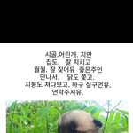 남친있는 애들아