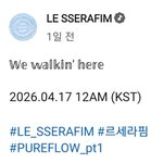 르세라핌은 이제 진짜 망한듯