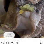 저주받은남자까진아니어도 섬기는자리로 나아가기위해서는