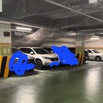 형아들 이거 어떻게 생각해?