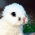 알뜰..<b>샤핑</b>