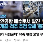[이런개빡침] 이재명 대답해라 무안공항 <b>유해</b>가 하수로에서 발견