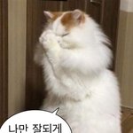 <b>호이</b>