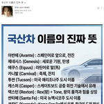 국산차 이름의 진짜 뜻