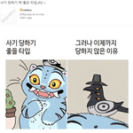 사기 당하기 딱 좋은 타입