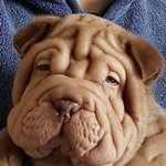 <b>쭈구리</b> 왜 부르냐