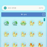 내 푸키먼 보고가
