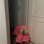 <b>후</b>엥