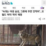 [댓글부탁해] 늑구맘들 레전드네 <b>진짜</b>ㅋㅋㅋㅋㅋㅋㅋㅋㅋ
