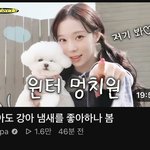 윈터 기쎈거봐ㅋㅋㅋ