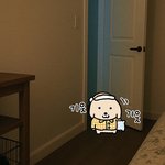 <b>누렁</b>아 너 왜 새벽에 내방