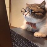 미안허다