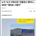 [댓글<b>부탁</b>해] 늑구 AI짤 아재 잡혀간 이유