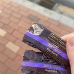 <b>오늘</b> 아침 공개