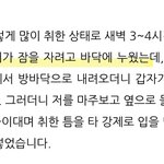 [댓글부탁해] 홈캠 가해자 블로그 글봄?