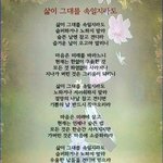 삶이 그대를 속인다는건 맞는 말인듯...