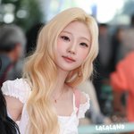 하<b>투하</b>에서 스텔라가 제일