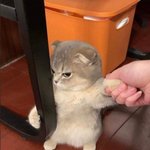 [댓글부탁해] <b>민희진</b>없는 뉴진스 컴백 어케될꺼같음?