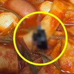 유명 프랜차이즈 떡볶이서 바퀴벌레...본사 "진심으로 사과"