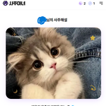 커여운 고양이 볼 <b>사람</b>?