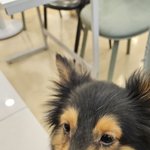 <b>개판</b>이네