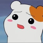 [하고싶은말] .